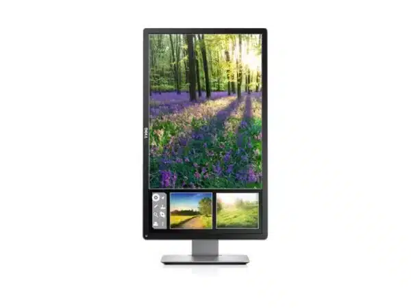 Монитор Dell P2314H втора употреба